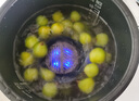 東菱（Donlim）【國家補貼】轉轉果蔬清洗機家用食材凈化機洗菜除菌神器去除農殘 無(wú)線(xiàn)便攜  DL-1326靜謐藍 曬單實(shí)拍圖