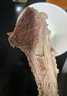 內(nèi)蒙古原切羔羊肋排切塊新鮮現(xiàn)殺羊排骨草原散養(yǎng)錫林郭勒羊肉 原切多肉羊排切塊2斤 曬單實(shí)拍圖