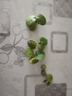 圓心萍水草組合懶人水草組合浮萍造景魚(yú)缸水芙蓉養魚(yú)養蝦凈化水質(zhì) 圓心萍 5 棵丨每顆獨立包裝（包活） 曬單實(shí)拍圖