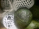 品贊秘魯牛油果新鮮哈斯鱷梨水果健康輕食 牛油果10個(gè)單果180-200g 曬單實(shí)拍圖