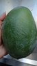 京覓四川凱特芒果新鮮水果凈重4.5斤單果400g+源頭直發(fā)包郵 曬單實(shí)拍圖