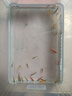 寵瑜斑馬魚(yú)燈科魚(yú)大號活體冷淡水新練手好養紅綠燈小型熱帶觀(guān)賞金魚(yú)苗 特價(jià)大號斑馬5送3只備損 曬單實(shí)拍圖