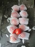 新鮮沙瓤大番茄生吃西紅柿減肥早餐即食新鮮蔬菜生鮮單果＞100g 家庭裝 4斤 帶箱 曬單實拍圖