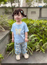 迪士尼寶寶女童套裝短袖夏季2025新款T恤洋氣韓版女孩兒童套裝格子兩件套 蝴蝶結套裝 110 建議100-110cm2-3歲 曬單實(shí)拍圖