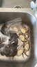 【活蟹】鮮活六月黃小螃蟹凈重足重淡水大閘蟹小河蟹生鮮水產(chǎn)現(xiàn)貨 五元蟹[0.9-1.2兩]10只+多送2只 曬單實拍圖