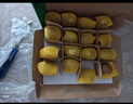 佳沛（zespri）綠奇異果16粒禮盒單果約86-103g 中秋水果禮盒 獼猴桃 曬單實(shí)拍圖