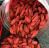 北京同仁堂寧夏正宗頭茬新貨特級枸杞子500g中寧免洗紅茍構(gòu)紀(jì)干拘杞子茶 250克-無熏硫-罐裝+特優(yōu)級[大顆 曬單實(shí)拍圖