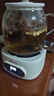 美的（Midea）花漾0膠水全玻璃全自動(dòng)養生壺 辦公室多功能煮茶壺 燒水壺恒溫電熱水壺煮茶器花茶壺1L YS10B101 曬單實(shí)拍圖