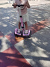 柏思圖（besintu）電動(dòng)兒童智能平衡車3-6-12歲體感10歲到15歲以上座椅成年人站座兩輪雙輪自動(dòng)手扶越野新款自平行車 SUV粉54V【四控+座椅+APP+越野輪】 曬單實(shí)拍圖