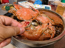 粵鹽大粒粗鹽海鹽1000g  無碘 無抗結(jié)劑0添加 鹽焗雞海鮮蛋 腌制泡菜 曬單實拍圖