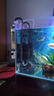 森森（SUNSUN）耀藍魚(yú)缸壁掛式過(guò)濾器YBF-500外置過(guò)濾桶【魚(yú)便分離+過(guò)濾升級】6W 曬單實(shí)拍圖