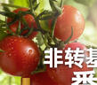 亨氏(Heinz) 番茄醬 袋裝番茄沙司 意大利面薯條醬 320g*2袋 曬單實拍圖