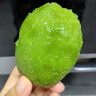 佳沛（zespri）新西蘭  陽光金果16粒經(jīng)典果單果 77-103g 中秋水果禮盒 獼猴桃 曬單實拍圖