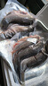 品鮮肴淡水魚(yú)土鯽魚(yú)鮮活魚(yú)現殺漁民野外自然捕獲生鮮水產(chǎn)湖鮮凈膛去內臟 鮮活宰殺2-3條 400g（三去凈重） 曬單實(shí)拍圖