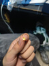 中國黃金（CHINA GOLD）朱槿花黃金耳釘女999足金耳飾生日七夕情人節(jié)禮物送女朋友老婆 足金耳釘+玫瑰禮盒 曬單實拍圖