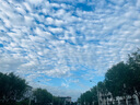 萬創(chuàng) 適用添可洗地機(jī)配件芙萬一代2.0ProLED/LCD配件2.0Slim/3.0地面清潔液清潔劑滾刷過濾網(wǎng)濾芯配件 曬單實拍圖