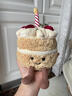 Jellycat趣味生日蛋糕毛絨玩具公仔禮物 趣味蛋糕 16cm x 12cm x 12cm 曬單實(shí)拍圖