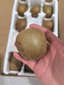 淳果一木 黃心獼猴桃 黃金奇異果金果獼猴桃 新鮮水果 生鮮 水果 10個(gè)大果單果90-110克 曬單實(shí)拍圖