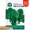 北蔬 大葉菠菜種子種苗秋四季播種蔬菜種籽 寒雄1號(hào)大葉菠菜種子200g 曬單實(shí)拍圖