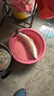 沃鼎王者神劍三代釣魚竿碳纖維超輕鯽魚竿大物竿魚桿臺(tái)釣竿7.2米 6.5H 曬單實(shí)拍圖