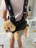 WAKYTU狗狗橫背包單雙肩可斜挎拆卸小中大型犬寵物外出便捷包 適用4-7斤 曬單實(shí)拍圖