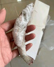 東上御品蝦 青島大蝦基圍蝦鮮活青蝦白蝦海蝦對(duì)蝦冰蝦凍蝦生鮮 蝦類 海鮮 3斤(凈重)  氣凍大蝦【活蝦速凍】 17-21cm【特大蝦皇】 曬單實(shí)拍圖