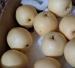 正宗河北皇冠梨 產(chǎn)地直發(fā) 現(xiàn)摘現(xiàn)發(fā) 脆甜多汁梨子整箱新鮮水果 皇冠梨凈重8.5斤 曬單實(shí)拍圖
