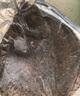 一蝦一世界鮮活三去多寶魚(yú)（去鱗去腮去內(nèi)臟）生鮮魚(yú)類(lèi) 開(kāi)袋即烹 凈重350g-450g*3條【免處理】 曬單實(shí)拍圖