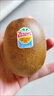 佳沛（zespri）新西蘭  陽(yáng)光金奇異果巨大果22粒原箱 單果重約144-175g 獼猴桃 曬單實(shí)拍圖