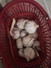 精選新鮮山東大蒜干蒜多瓣蒜頭蔬菜批發(fā)產(chǎn)地直發(fā)大蒜頭 優(yōu)選 5斤 (果徑≥3.5cm) 曬單實(shí)拍圖