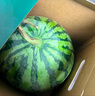 曉吸無籽麒麟瓜 4kg 曬單實拍圖