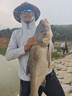 猛將猛將釣魚竿鋼刀二代超輕超硬魚竿手桿碳素6H19調(diào)臺(tái)釣竿鯉鯽魚竿 7.2m 曬單實(shí)拍圖