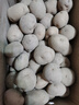 京鮮生恩施小土豆5斤 單果約20-60g 新鮮黃心土豆馬鈴薯源頭直發(fā) 曬單實拍圖