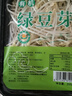 【有機】綠豆芽 200g 曬單實(shí)拍圖