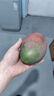 【新鮮上市】正宗攀枝花凱特芒果新鮮水果 帶箱2斤200g+ 曬單實(shí)拍圖