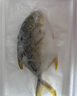 環(huán)球水產(chǎn)南海大規(guī)格金鯧魚550g1條 BAP認證 海魚 生鮮魚類 火鍋 海鮮水產(chǎn) 曬單實拍圖