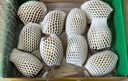 佳沛（zespri）新西蘭  陽光金果25-27粒原箱單果122-146g  中秋水果禮盒 獼猴桃 曬單實拍圖