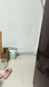 樂兔司兔糧兔飼料成年兔糧幼兔糧老兔糧布格斯同配方膨化壓縮美毛兔糧 壓縮幼兔糧2.5kg（送同款試吃80g） 曬單實(shí)拍圖