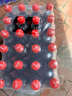 可口可樂(lè)（Coca-Cola）Coca-Cola 碳酸飲料 500ml*24瓶 新老包裝隨機(jī)發(fā)貨 曬單實(shí)拍圖