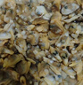 泰明揚(yáng)新鮮活剝花甲肉蛤蜊肉250g/袋 冷凍無(wú)沙花蛤肉蜆子肉 花甲肉 1.25kg 【固形物80%】 曬單實(shí)拍圖