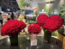 奔富（Penfolds）BIN389赤霞珠設拉子干紅葡萄酒 750ml*1支 原瓶木塞進(jìn)口【澳版】 曬單實(shí)拍圖