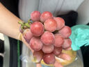 鑫果滋【順豐】云南大理妮娜皇后葡萄 無(wú)籽紅提紅寶石提子高端水果禮盒 【禮盒裝】2斤大果丨單果12-15g 曬單實(shí)拍圖
