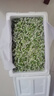 2025當季韭菜花農(nóng)家精品品質蔬菜調味佳品韭菜花火鍋料腌制順豐包 精品挑選凈重4斤裝 曬單實拍圖