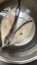 海名威 冷凍格陵蘭比目魚(yú)400g 4-5片鰈魚(yú)生鮮魚(yú)類(lèi) 海鮮水產(chǎn) 深海魚(yú) 中秋 曬單實(shí)拍圖