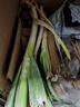 農家自種精品山東大蔥特級新鮮鐵桿長(cháng)白蔥農家毛蔥香蔥現挖便宜 山東大蔥（帶老皮）帶箱 1斤 曬單實(shí)拍圖