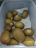 佳沛（zespri）新西蘭  陽光金奇異果25-27粒原箱特大果單果約122-146g  獼猴桃 曬單實拍圖