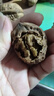 云南今年新貨野生老樹核桃紙皮薄皮孕婦黑桃薄殼干黑桃零食無(wú)漂 云南新貨薄皮核桃1斤-大樹普通果 曬單實(shí)拍圖