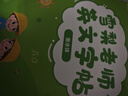 【7天內可退換】雪梨老師零基礎四合一自然拼讀發(fā)音英語(yǔ)學(xué)習課程 五合一視頻課（字母+拼讀+音標+單詞+繪本） 曬單實(shí)拍圖