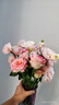 云南鮮花批發(fā)品質(zhì)玫瑰百合水養(yǎng)鮮切花送女友水養(yǎng)鮮花源頭直發(fā) 艾莎（鐵頭公主）-10支 【任選2件—不收運(yùn)費(fèi)】 曬單實(shí)拍圖