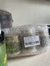 山深有味花旗參粉 5年西洋參 100g補氣血補氣養血 營(yíng)養食品中藥滋補品 曬單實(shí)拍圖